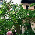 2-zimmer-apartment 