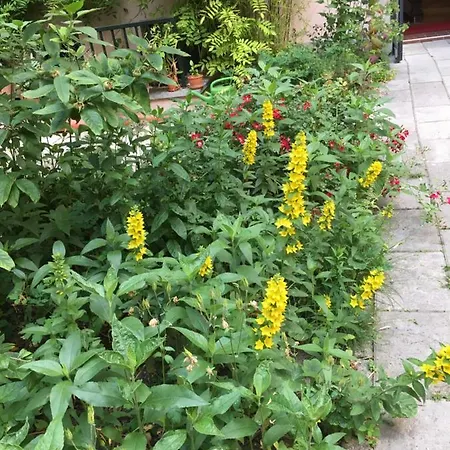 Appartement 2-zimmer-apartment 