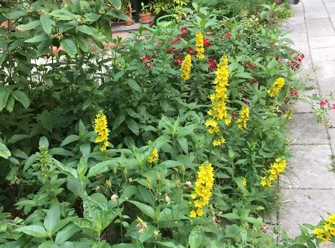 Apartamento 2-zimmer-apartment 